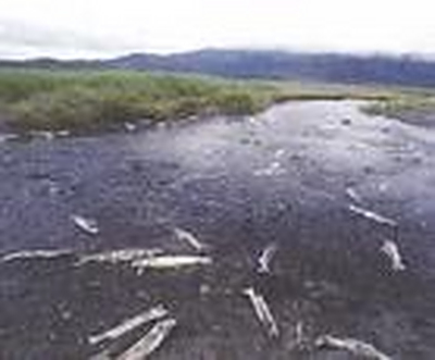 一水两治